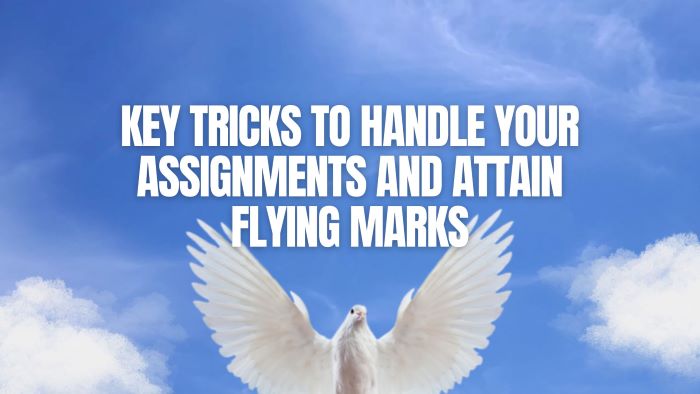 Key Tricks to Handle Your Assignments and Attain Flying Marks